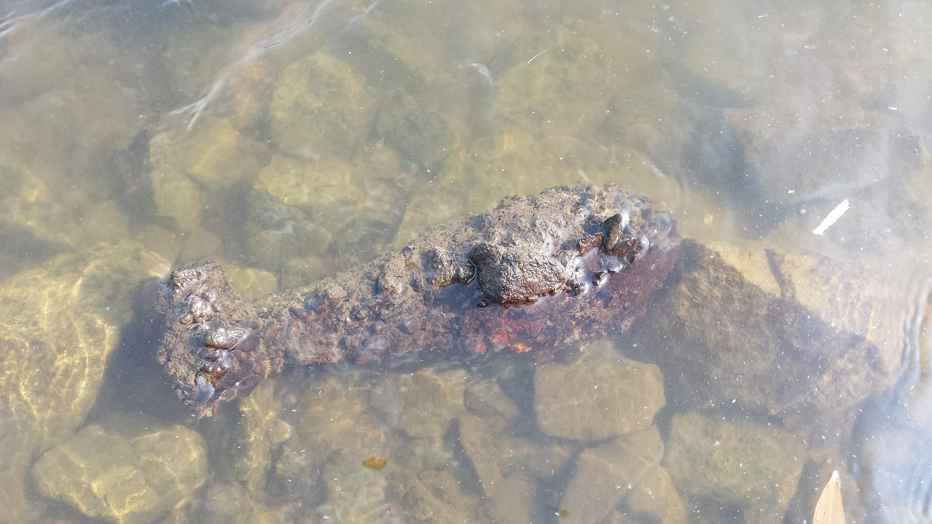 Einer der am Mittwoch in der Elbe gefundenen Wurfgranaten.