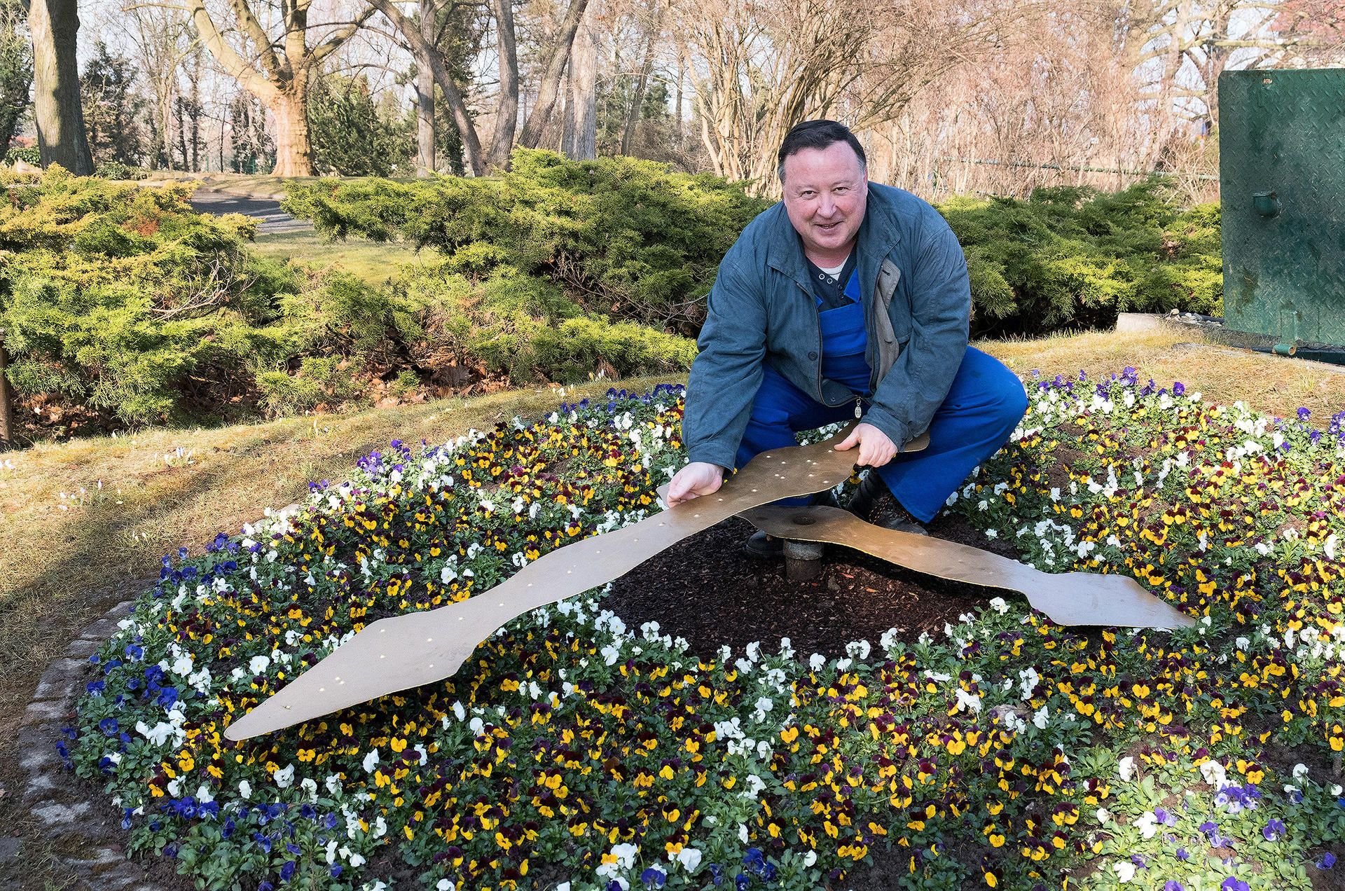 Steffen Müller kümmert sich um die Blumenuhr im Kurpark von Bad Dürrenberg.
