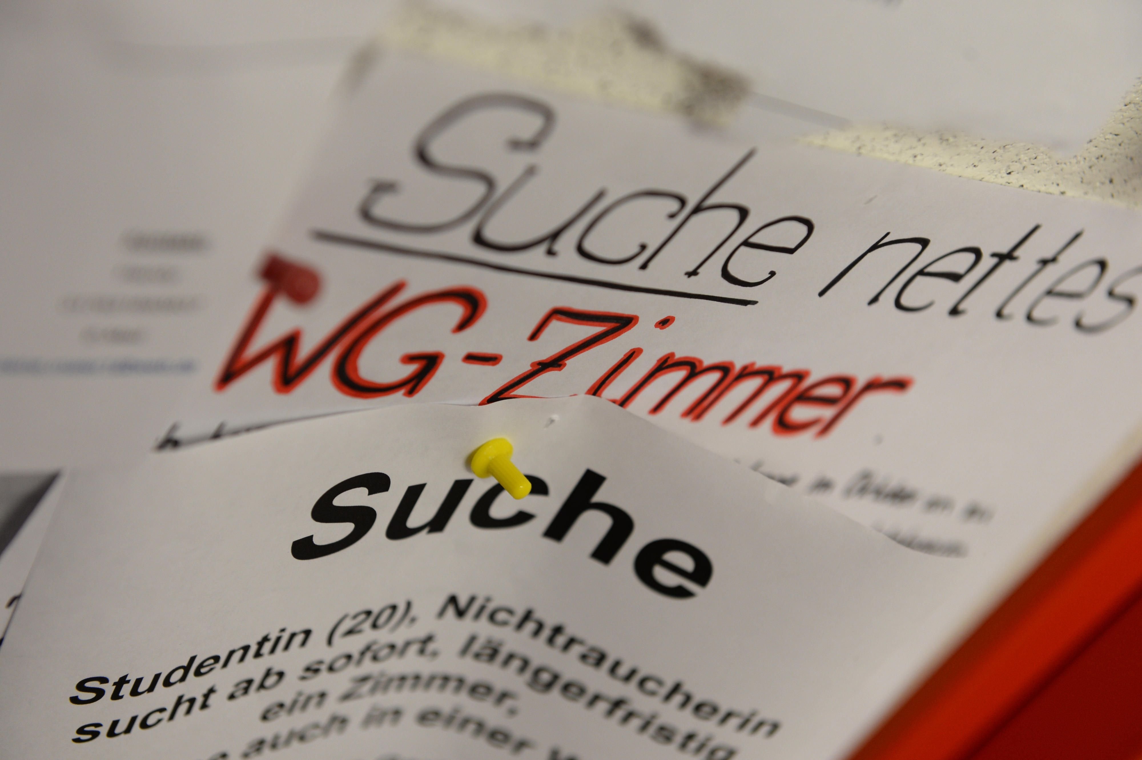 Mehrere Wohnungsgesuche hängen an einem Schwarzen Brett