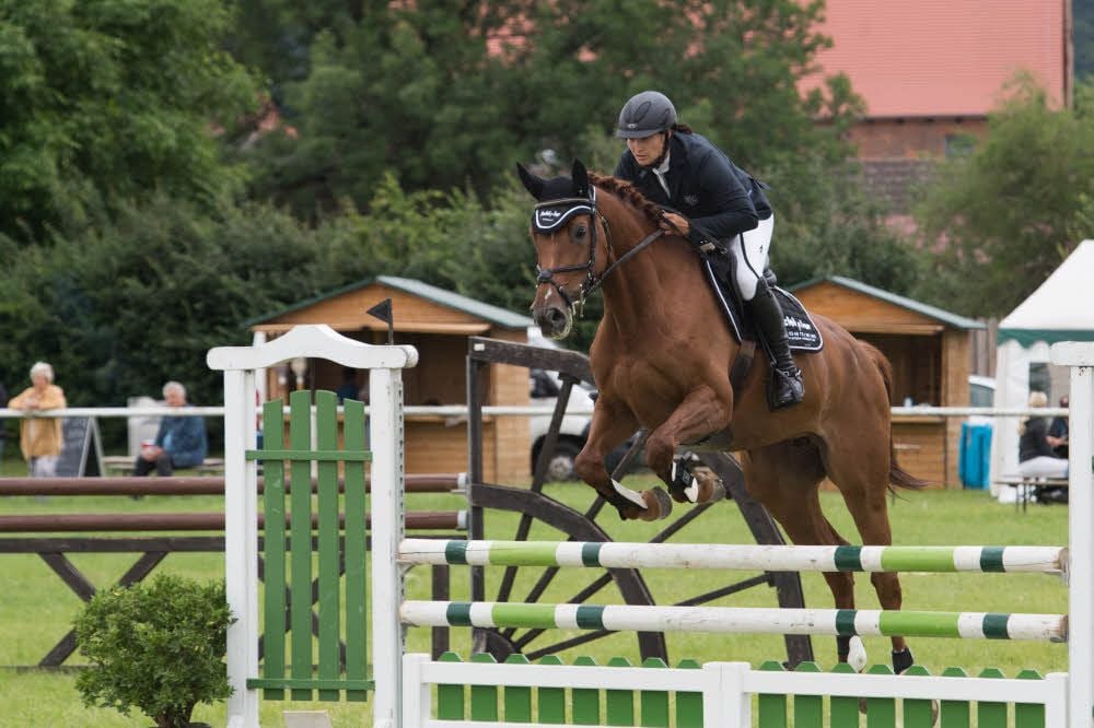 Sandra Kluge hat den gastgebenden Reitverein Laucha beim eigenen Turnier in zahlreichen Wettbewerben vertreten. Auf Light of Hope wird sie zum Beispiel Zwölfte in einer Stilspringprüfung der Klasse A*.
