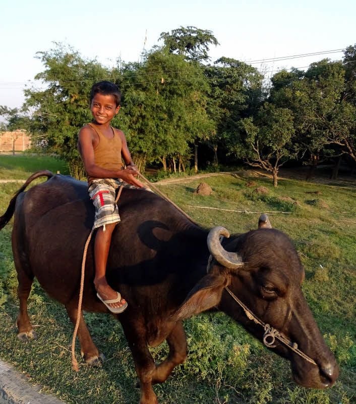Ein einheimischer Junge in Indien