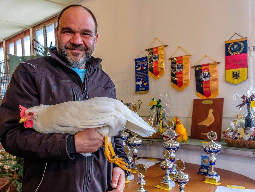 Thomas Probst mit seinem Amerikanischen Leghorn, das als bestes Tier der Ausstellung in Seegrehna gekürt wurde.