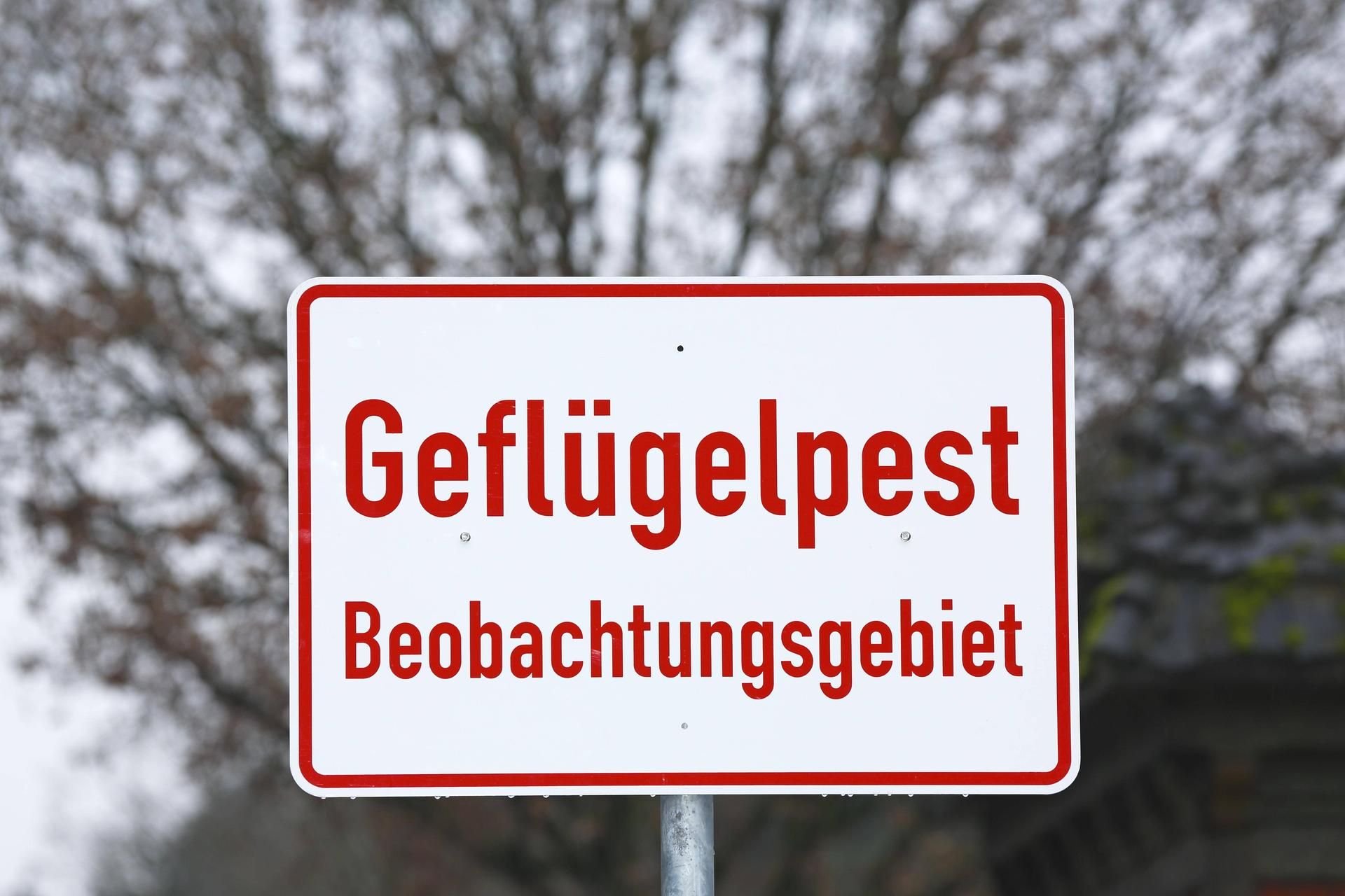 Im Altkreis Bitterfeld wurde ein Geflügelpest-Sperrbezirk wieder aufgehoben.