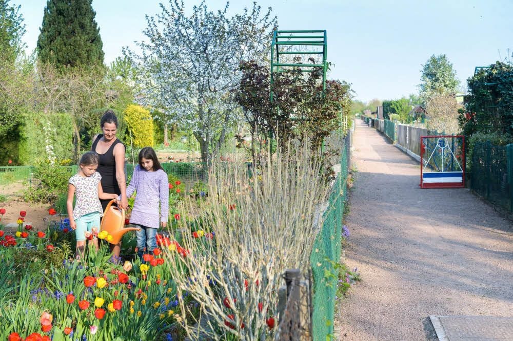 Nur noch zwei Köthener Gartensparten sind komplett ausgelastet. „Roseneck“ gehört dazu, alle 75 Parzellen werden hier genutzt. Peggy Junge kommt mit Hannah (r.) und Heidi gern in die grüne Oase.