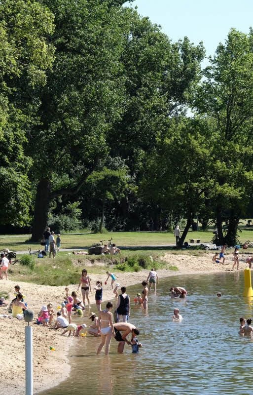 Der Saalestrand auf der Peißnitz ist populär und an heißen Sommertagen voll.