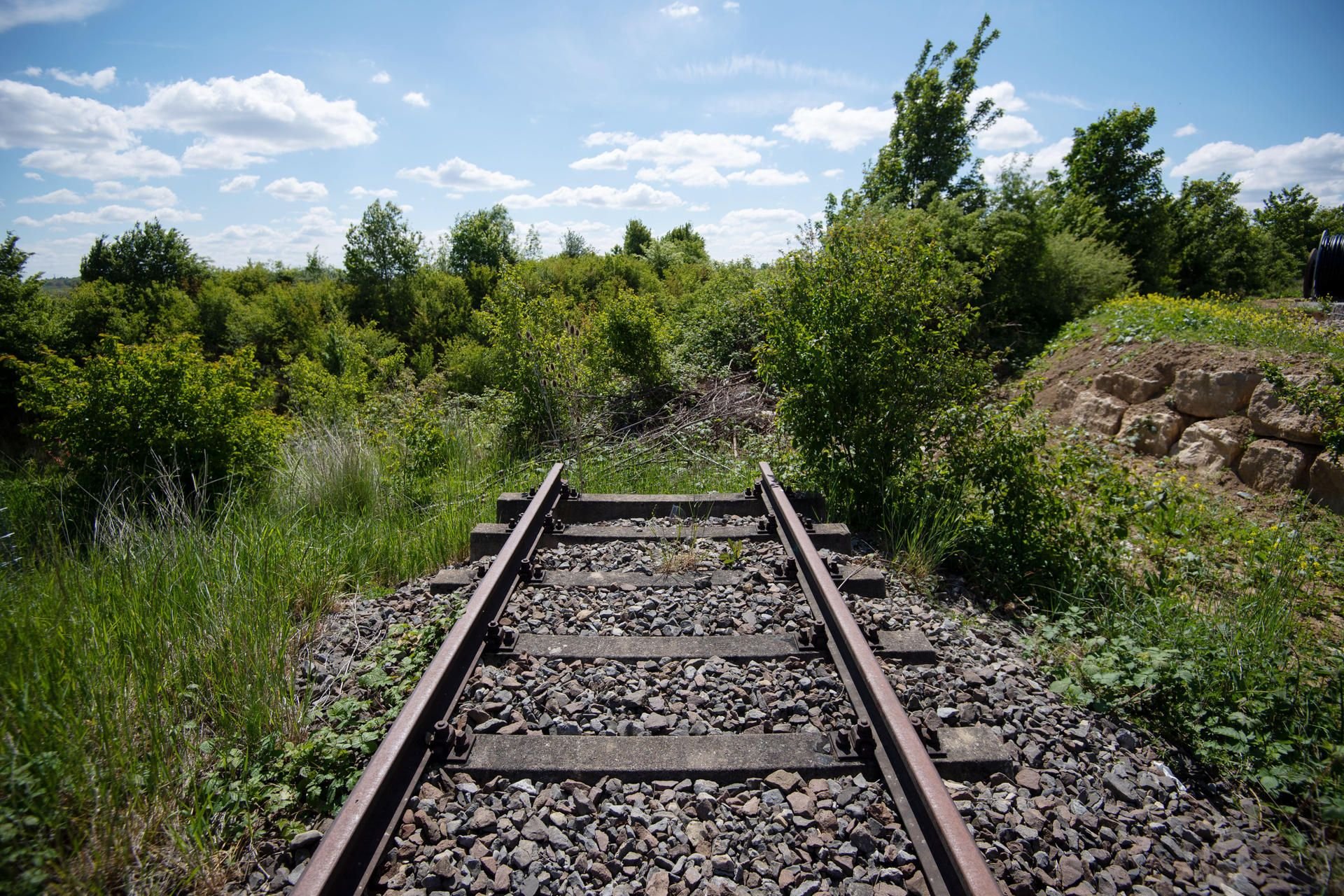 In den vergangenen Jahren wurden in Deutschland zahlreiche Bahngleise stillgelegt.