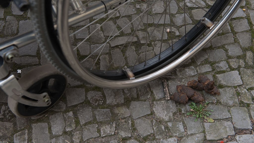 Hundekot in Quedlinburg Hundekot in Quedlinburg Ordnungsamt und Polizei auf Kontrollgang