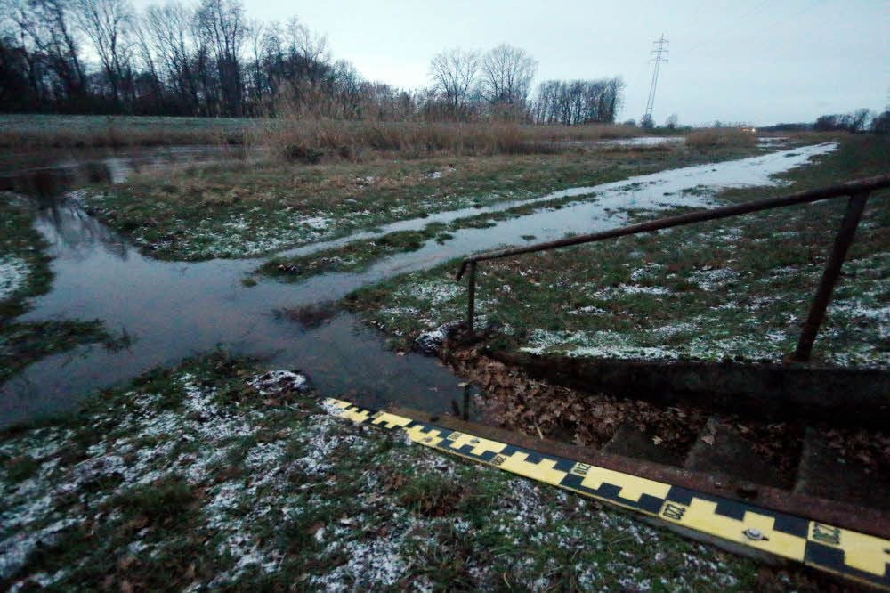 Langsam steigt das Wasser in der Schwarzen Elster, hier am Pegel Löben.