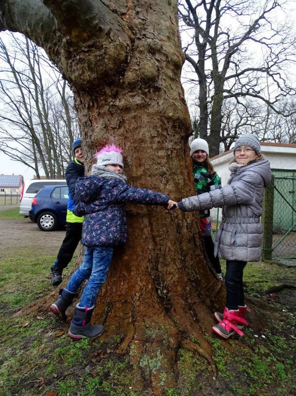 Till Globig, Katharina Thiele, Alana Köppe und Marilynn Wille von der Kunst AG der Evangelischen Grundschule Holzdorf umfassen den Stamm des Platanen-Torsos. Zur AG gehören außerdem Mara und Marie Witte.