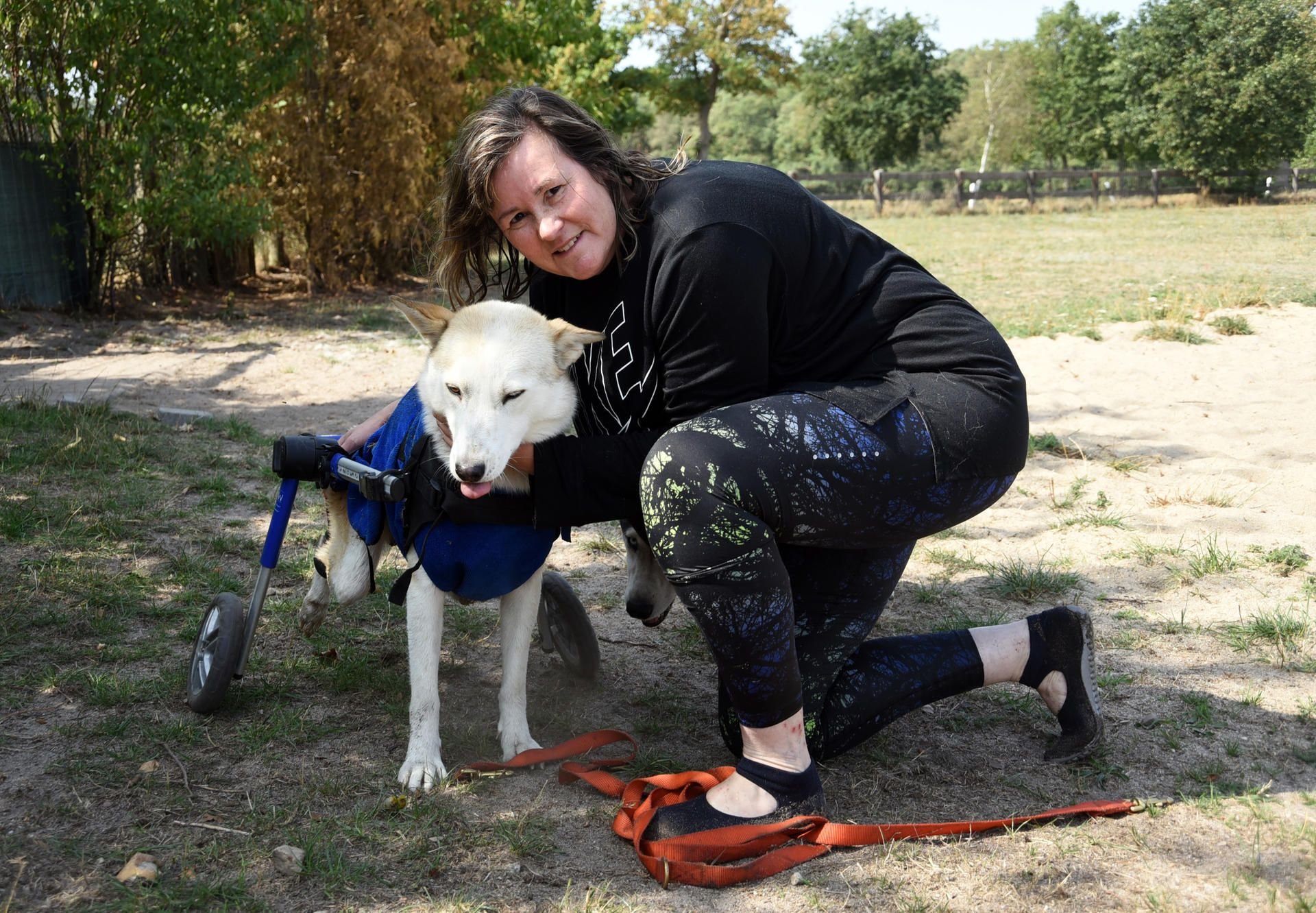 Hundehalterin und Tierheilpraktikerin Angela Wiatowski kümmert sich um die querschnittsgelähmte Husky-Hündin Lacey.