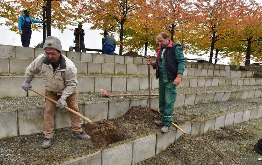 Jeder Stein des Amphitheaters wird neu gesetzt.