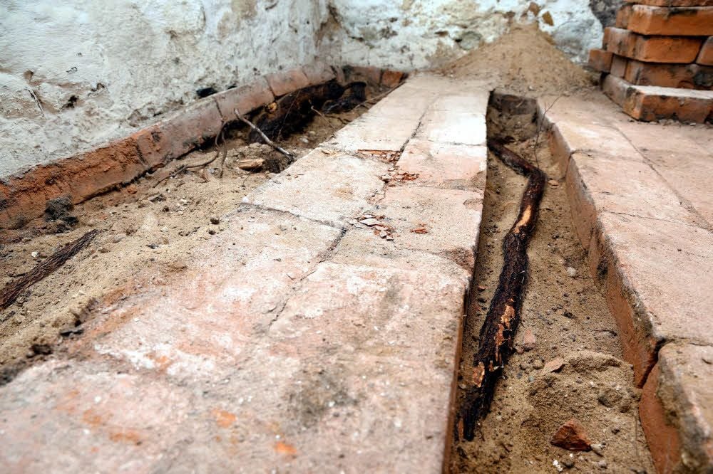 Weitere Wurzeln schlängeln sich quer durch den Keller.