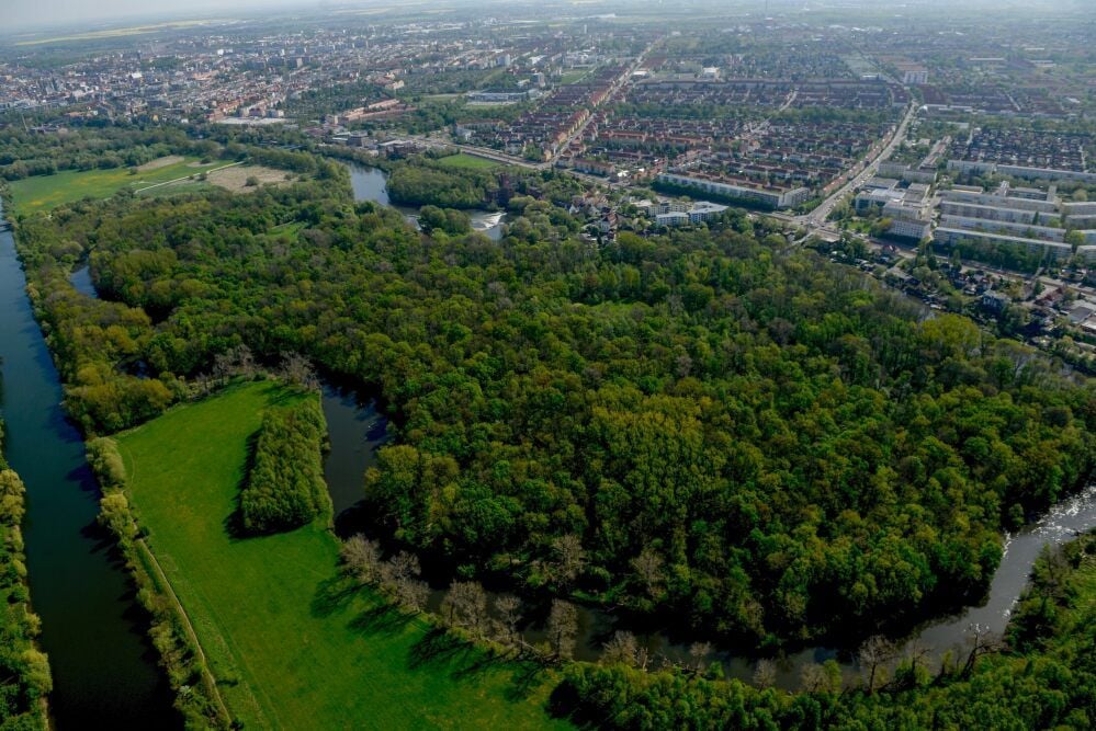 Blick aus der Vogelperspektive auf die Rabeninsel im Süden der Stadt: Dort sollen demnächst einige große Bäume gefällt werden.