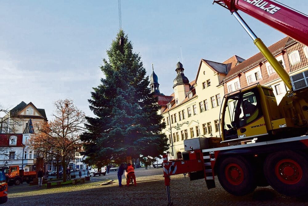 Die 14 Meter hohe Blaufichte wird mit Hilfe der Mitarbeiter vom Bauhof auf dem Marktplatz in Hettstedt aufgestellt.