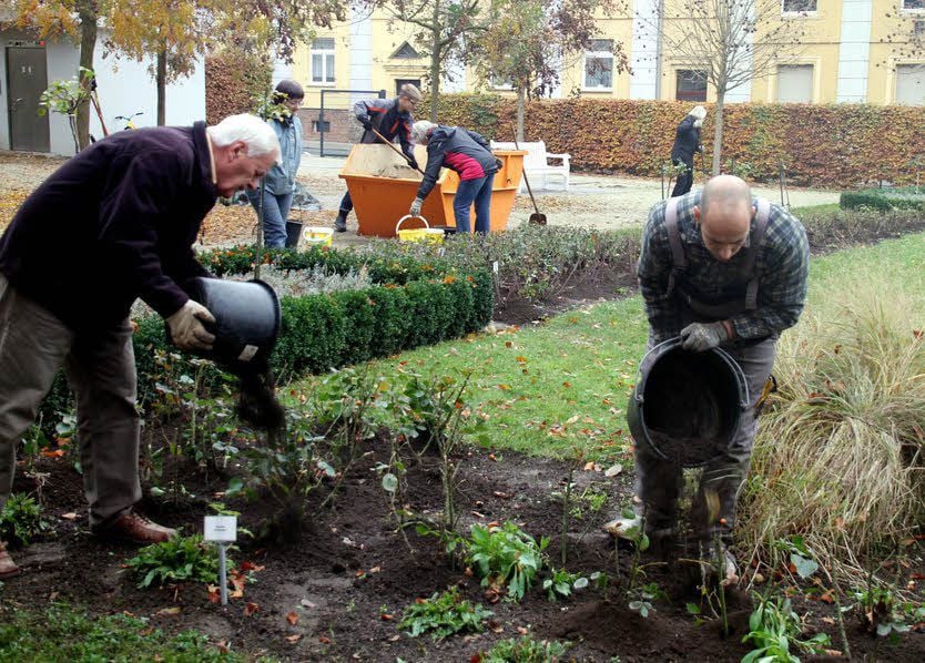 Mitglieder des Verschönerungsvereins häufeln Erde um die Stämme.