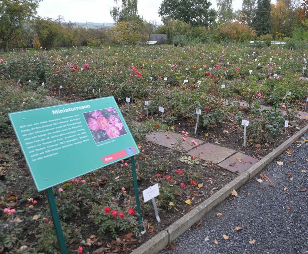 Die Wege und Beeteinfassungen im Schaugarten wurden erneuert.