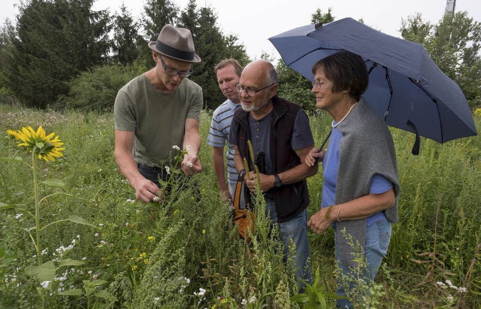 Tilmann Dreysse (l.) erklärt Besuchern bei einer Begehung, was auf der Wiese alles wächst.
