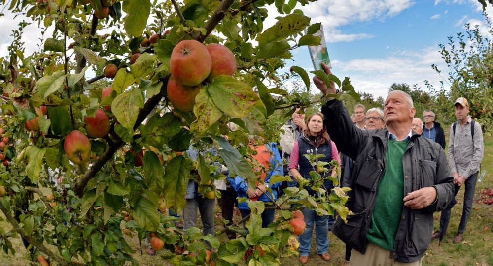 Professor Manfred Fischer führt Besucher durch den neuen Obstsortengarten im Gaterslebener Institut.