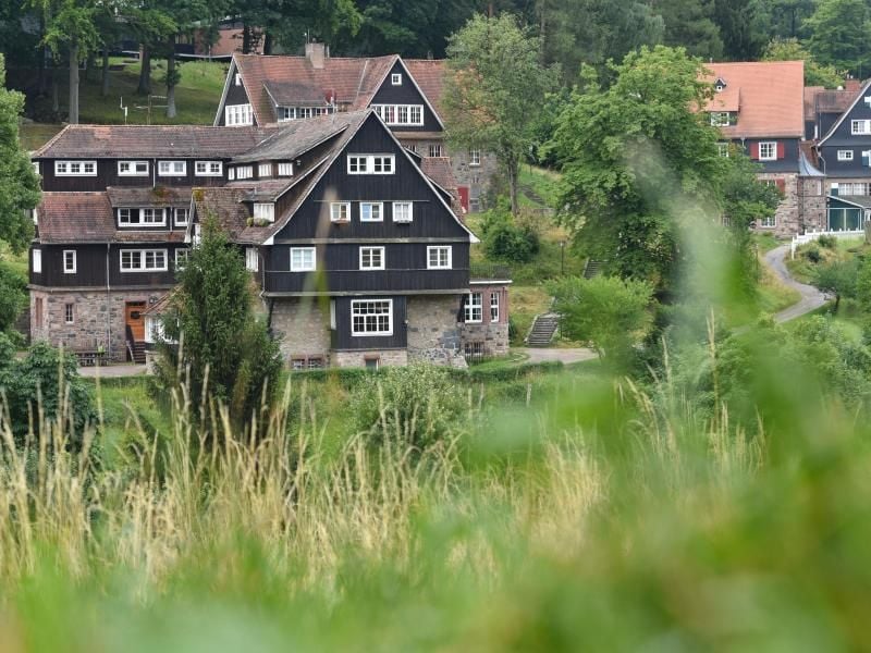 Gebäude der Odenwaldschule sind hinter einer Wiese zu sehen. Foto: Uwe Anspach/Archiv