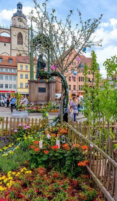 Mit neuen Dekorationen überrascht stets das Maiblumenfest.