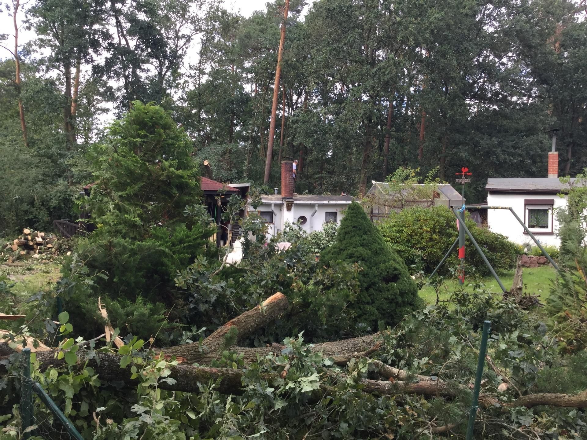 Im Landkreis Anhalt-Bitterfeld hat das Unwetter am Freitag Schäden hinterlassen.