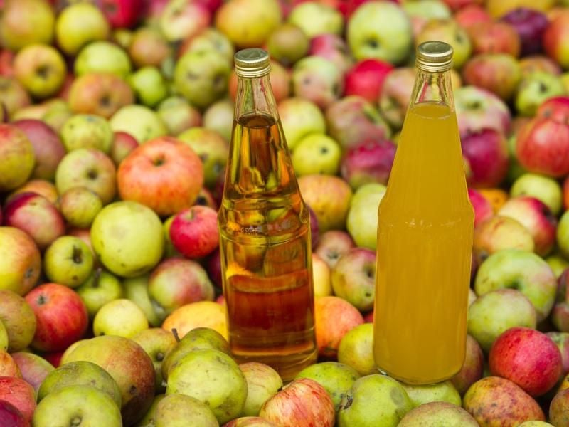 Apfelsaft besteht komplett aus Früchten, ein Apfelnektar hingen nur zu 50 Prozent. Und ein Apfelgetränk enthält 30 Prozent des Fruchtsaftes. Foto: Patrick Pleul/dpa