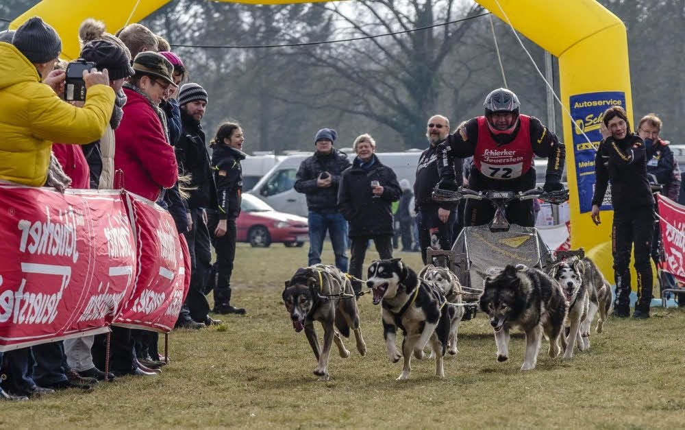 Lokalmatador Silvio Spruth legte sich mit seinen Huskys nach einem fulminanten Start mächtig ins Zeug.