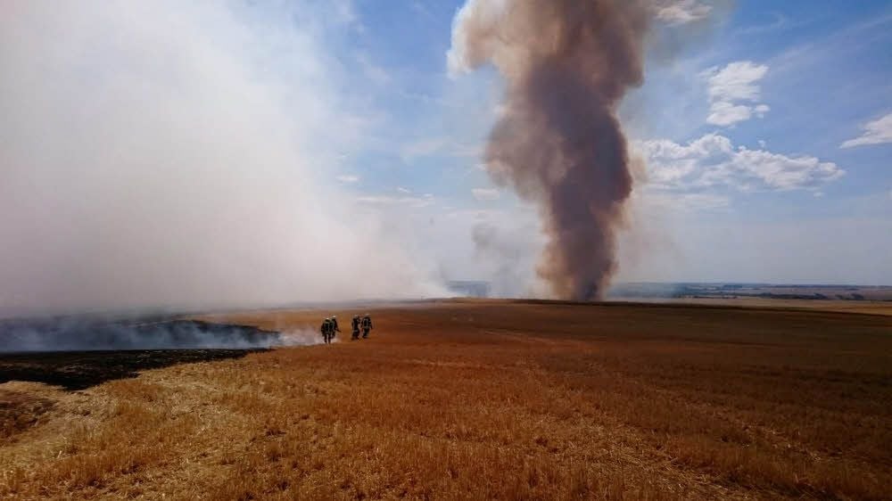 In Brachwitz brannte ein Feld. Ein Übergreifen der Flammen auf einen Reiterhof konnte in letzter Minute verhindert werden.