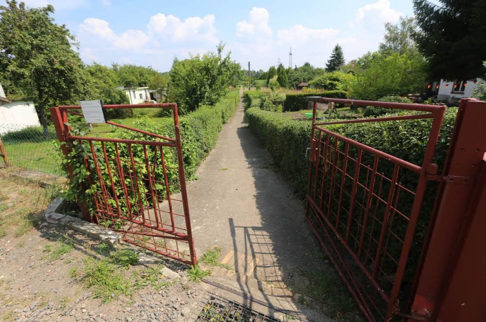 In der Gartensparte „Frohe Zukunft“ eskalierte ein Streit.