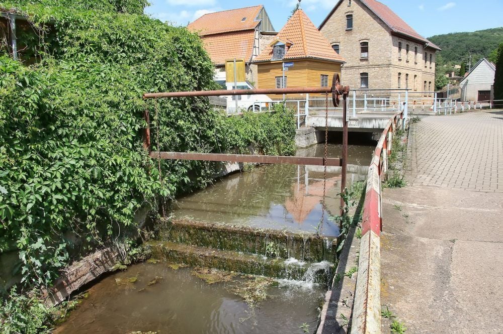 Die aufgestaute Leine in Kleinleinungen.