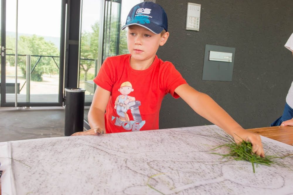 In der Arche Nebra hat der sechsjährige Paul ein Felsenbild abgepaust. Nun fixiert er die Farbe mit Gras.