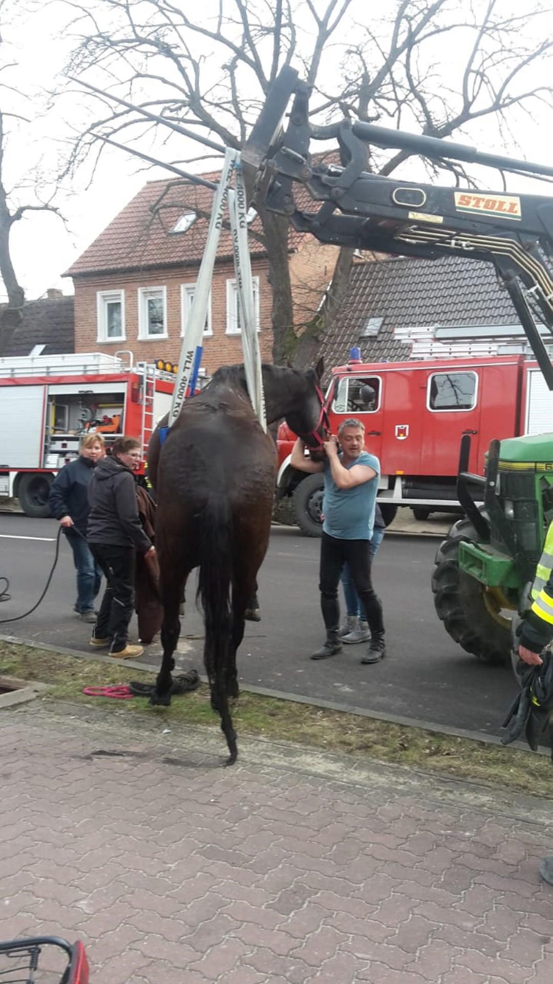 Karino wird geborgen.
