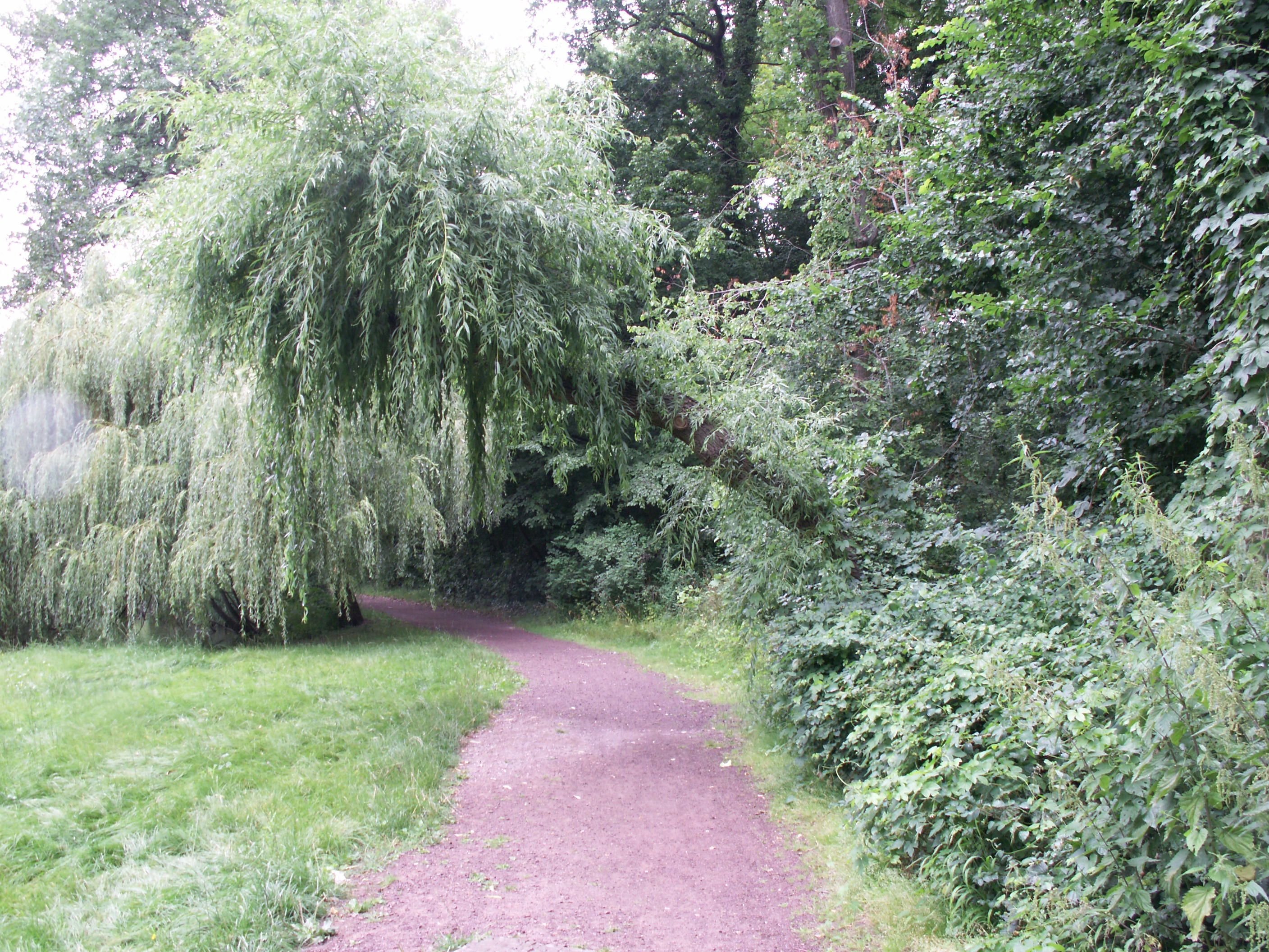 Der Park Hubertus in Köthen.