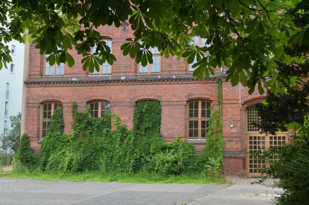 Die Rathausschule im Dornröschenschlaf