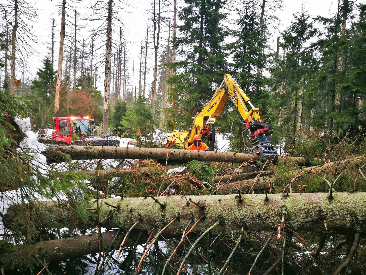Waldarbeiter bergen im Nationalpark Harz im Bereich Torfhaus (Niedersachsen) umgefallen Bäume.