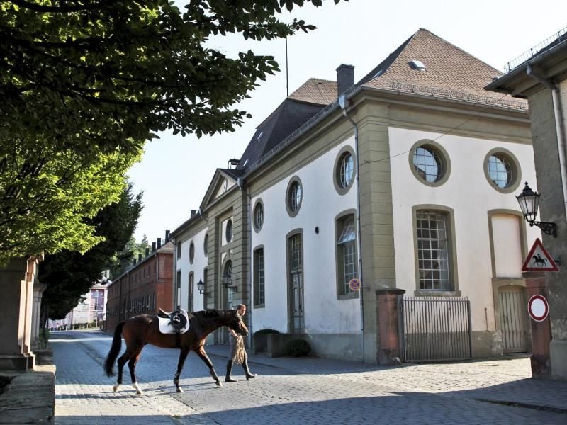 Ein Reiter führt auf dem Gelände des Landgestüts in Dillenburg ein Pferd. Foto: Rolf K. Wegst/Archiv