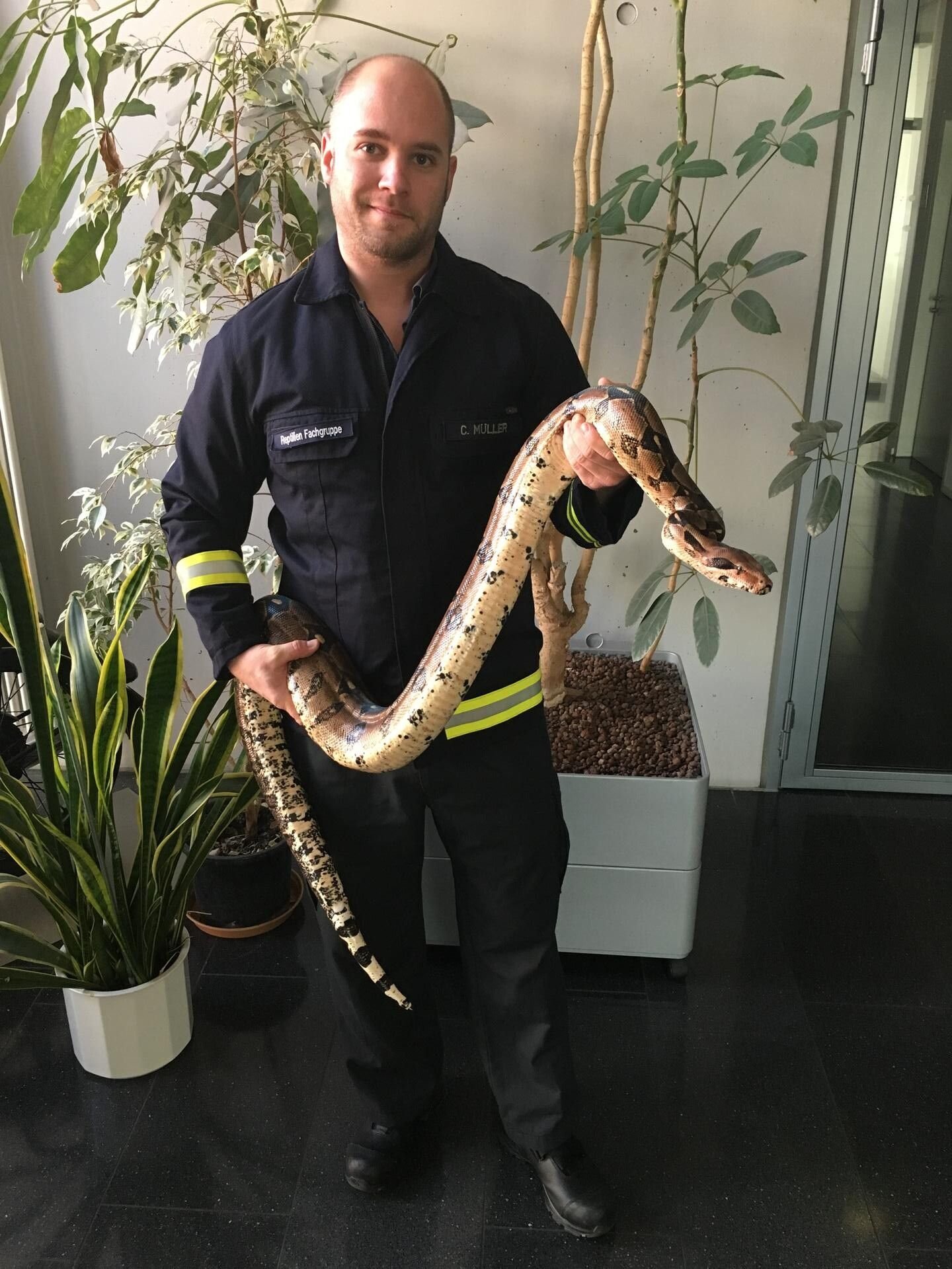 Einsatzkräfte haben am Samstag eine Boa constrictor unter einem Heizkörper in einer Wohnung in Düsseldorf entdeckt.