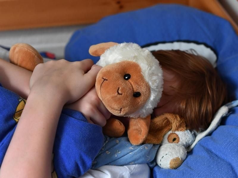Jede Nacht dabei: Zum Waschen eines Kuscheltiers eignet sich am besten der Schonwaschgang sowie Feinwaschmittel. Foto: Jens Kalaene/dpa-Zentralbild/dpa-tmn