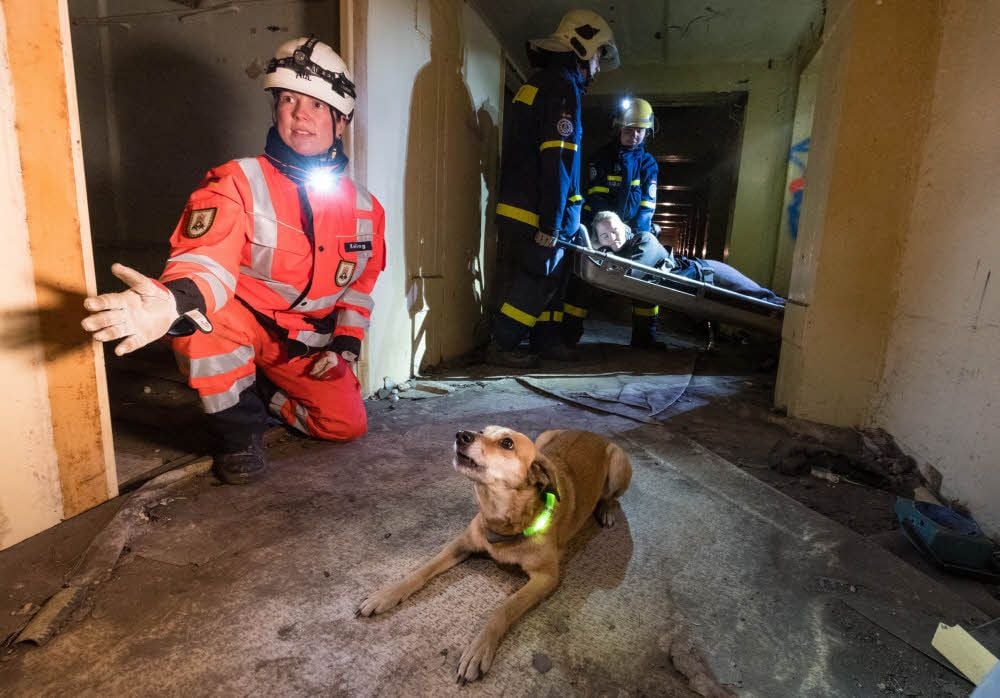 In Ostrau übten THW und Rettungshundestaffel einen Einsatz. Mit dabei: Carina Kehling mit ihrem Hund Luna, der die vermeintlich Verletzte fand