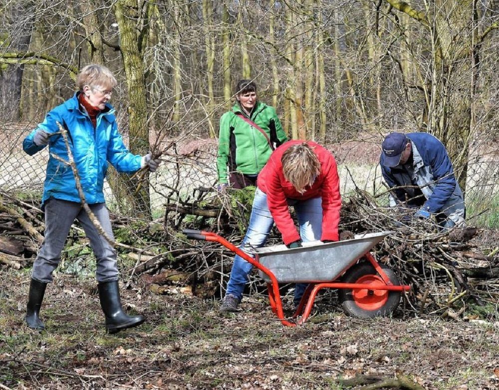 Alle Jahre wieder: Frühjahrsputz
