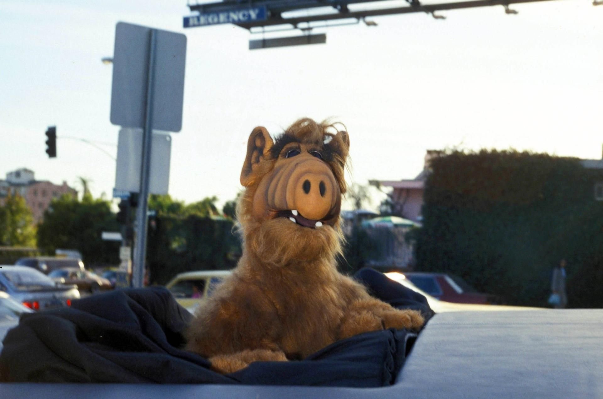 Alf kehrt ins deutsche Fernsehen zurück.