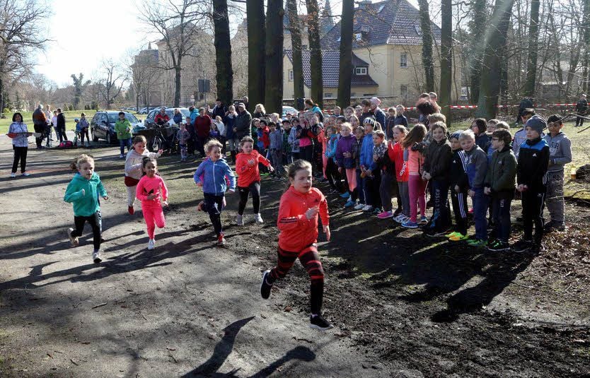 Beim Crosslauf der Grundschule Annaburg durch den Tiergarten starteten Mädchen aus der ersten Klasse gleich nach der Eröffnung.