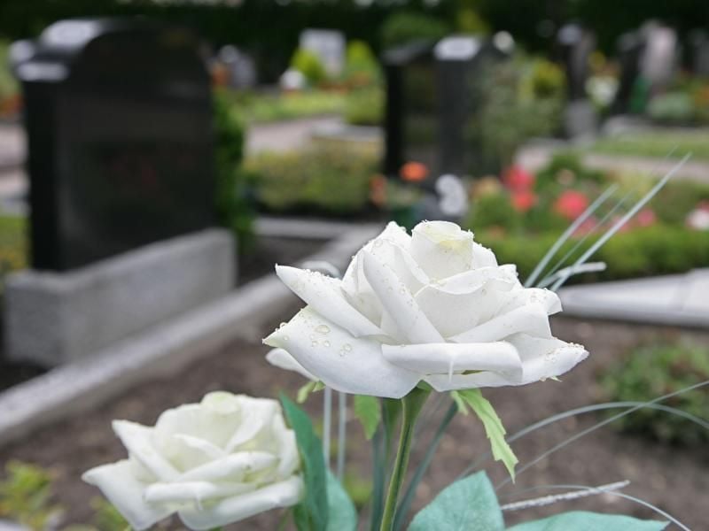 Eine weiße Rose steht auf einem Friedhof an einem Grab. Foto: Ingo Wagner/Archiv