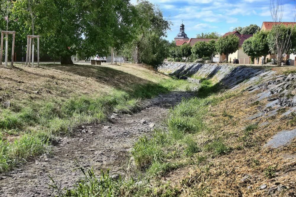 Die Fische aus der Thyra wurden rechtzeitig abgefischt und an anderer Stelle wieder eingesetzt.