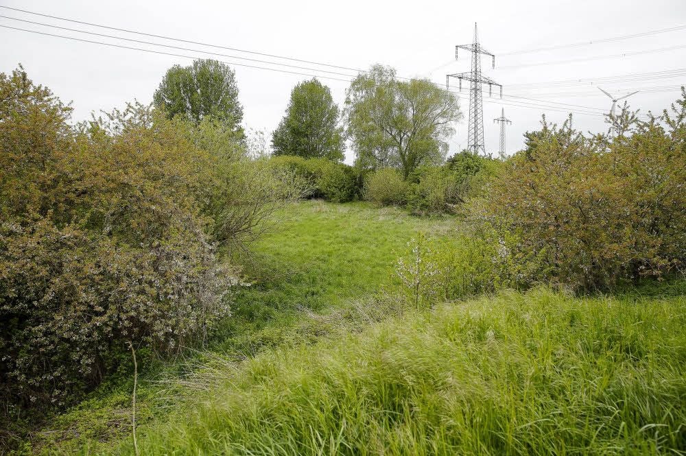 Der Verlauf der Gleichstromtrasse sorgt im Saalekreis weiterhin für Ärger.
