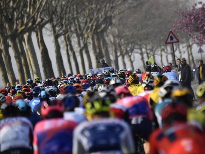 Das Peloton der Flandern-Rundfahrt. Foto: Dirk Waem/BELGA