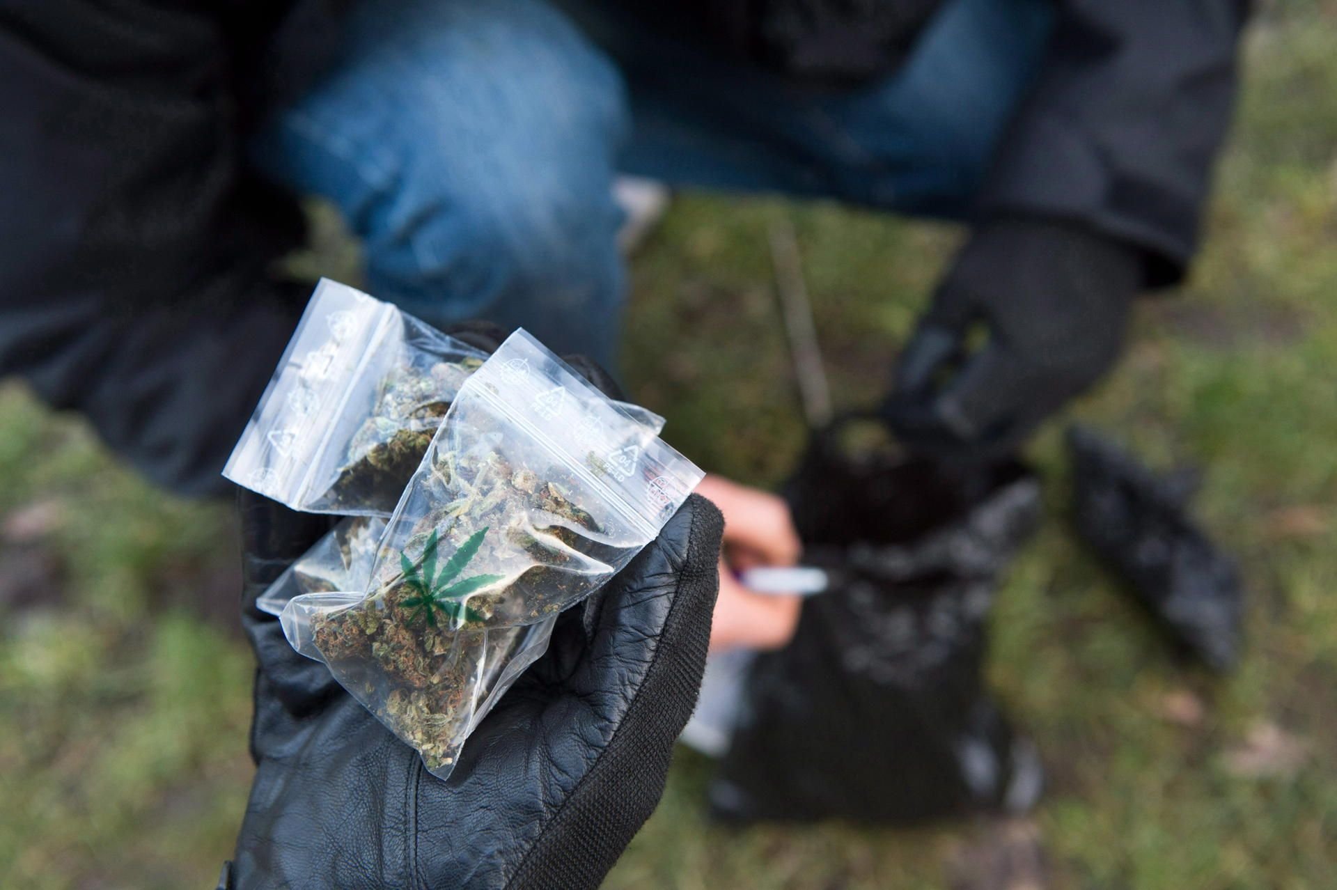 Mit Marihuana gefüllte Tütchen.