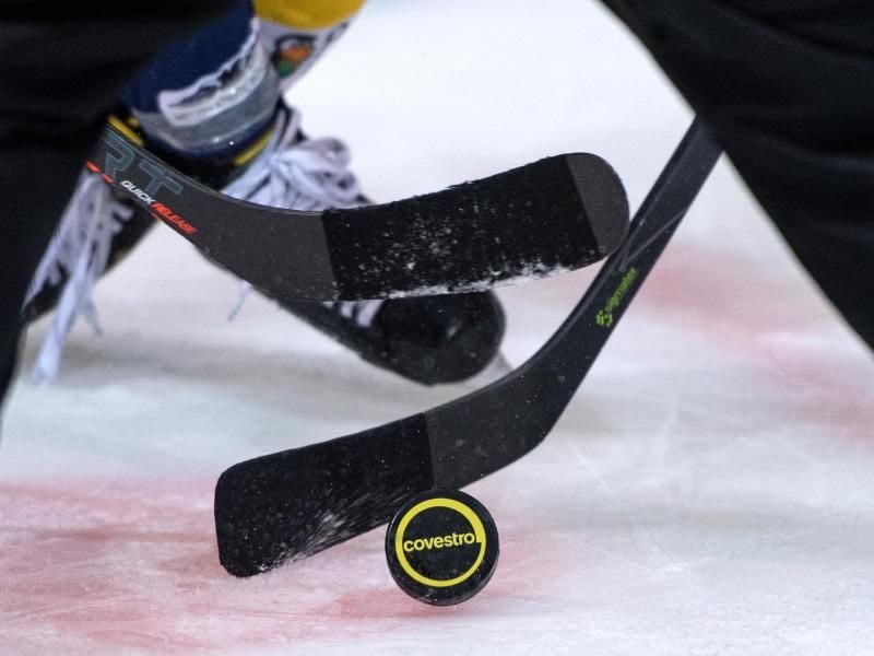 In den deutschen Eishockey-Ligen wurde die Saison wegen der Corona-Krise abgebrochen. Foto: Bernd Thissen/dpa