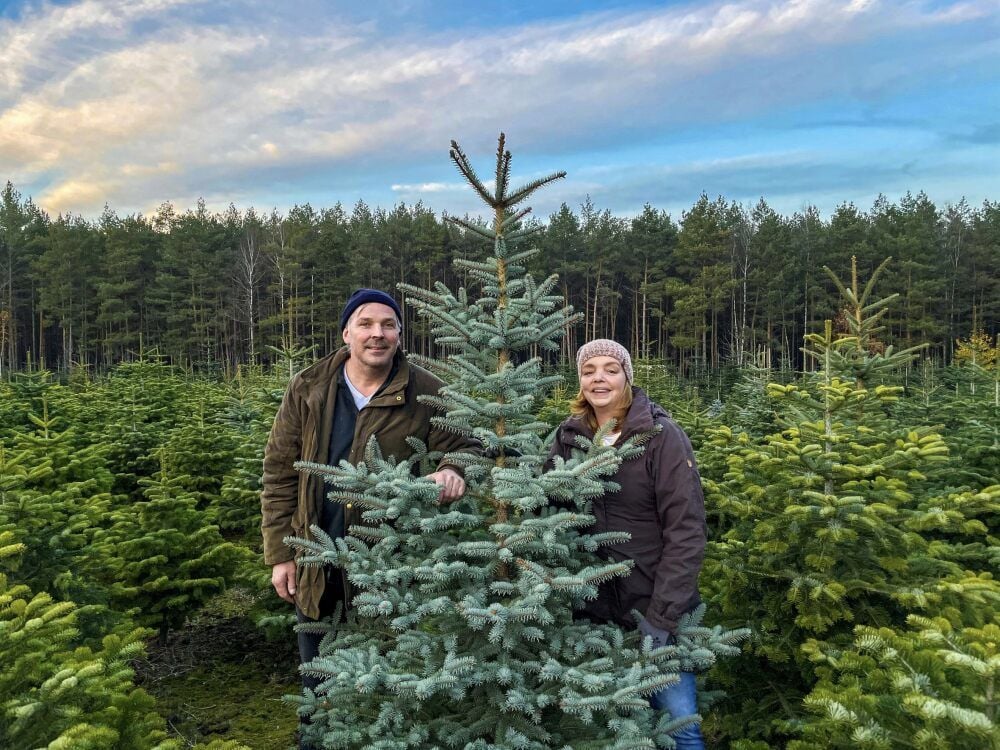 Inmitten vieler Weihnachtsbäume stehen Udo und Petra Winkelmann. An allen Adventswochenenden können dort Bäume geschlagen werden.
