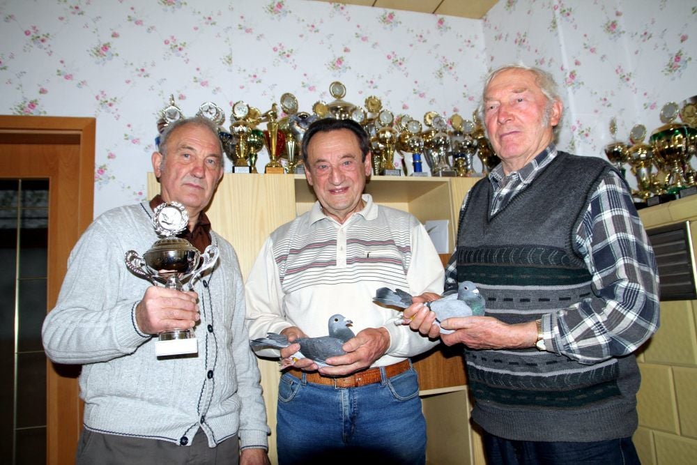 Tauberzüchter Sangerhausen: Richard Rennecke, Erich Roßmeyer und Gerhard Wieprecht blicken mit zwiespältigen Gefühlen auf die Flugsaison der Brieftauben zurück.